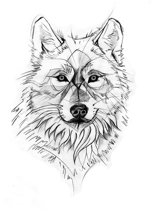 Wolf-2 Illustration